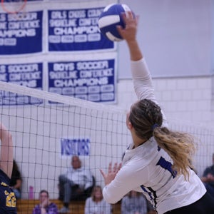 Peighton Andrews mugshot