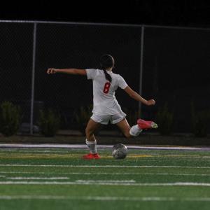 Marisol Diaz mugshot