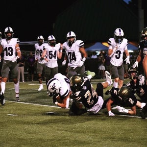 Andrew Davis mugshot