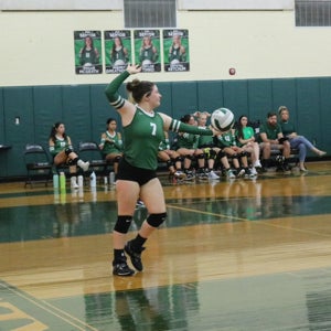 Cate McNamara mugshot