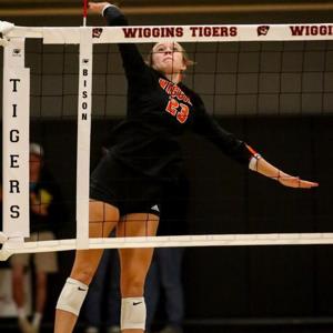 Taelynn Epple mugshot