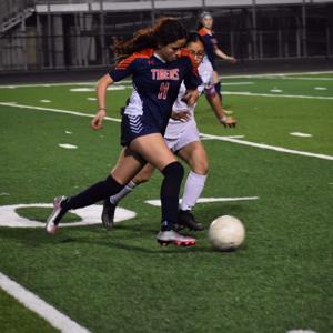 Jelyn Diaz-Martinez mugshot