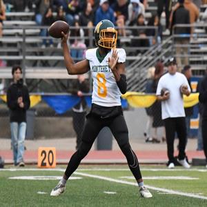 Preston White mugshot