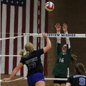 Lily Tomasheski mugshot