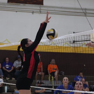 Lupita Zuniga mugshot