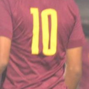 Davic Dominguez mugshot