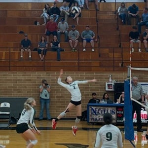 Aylah Garman mugshot