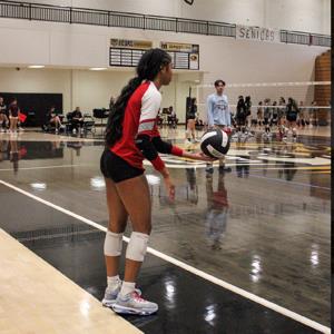 Madison Curry