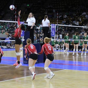 Briar Simpson mugshot