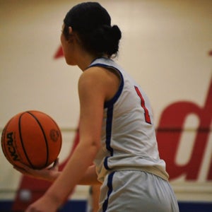 Lavina Sousa mugshot