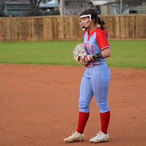 Valerie Hester mugshot