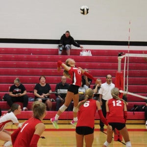 Avery Diener