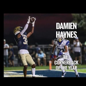 Damien Haynes mugshot