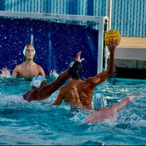 Nicholas  Burgos mugshot