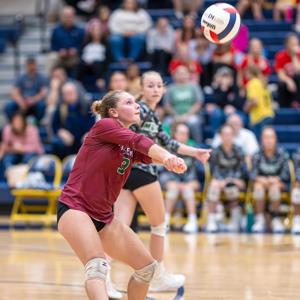 Alycia Miller mugshot