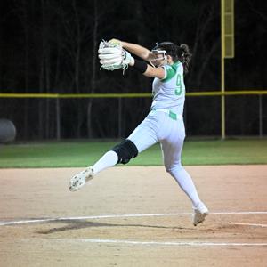 Haleigh Wallace mugshot