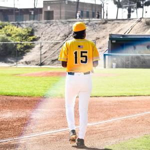 Dominic Gomez mugshot