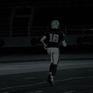 Alex Williams