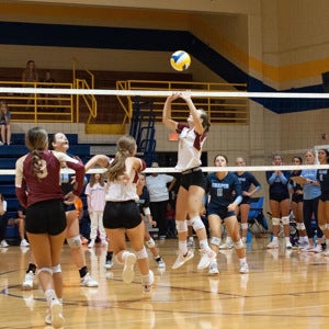 Sydney Green mugshot