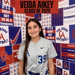 Veida Aikey mugshot