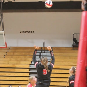 Alexis Perez mugshot