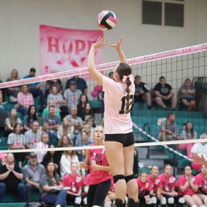 Addy Brewster mugshot