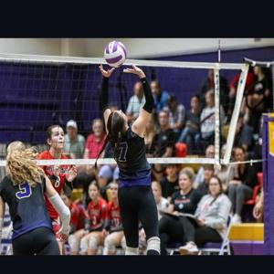 Morgan Harlow mugshot