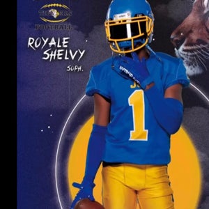 ROYALE SHELVY