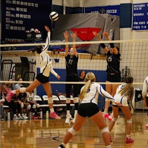 Victoria Kim mugshot