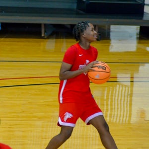 Elisabeth Kirkland mugshot