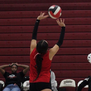 Fatima Patino mugshot