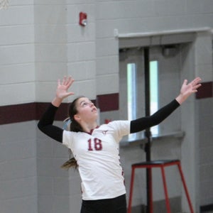 Dallyn Haupt
