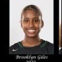 Brooklyn Giles mugshot