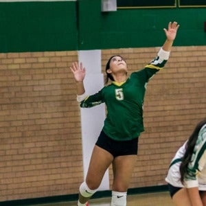 Alexa Chavez mugshot