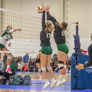 Maddie Shelton mugshot