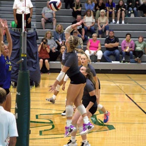 Brooklyn Grisolono mugshot