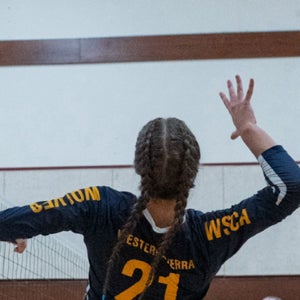 Ielyzaveta Demchuchena