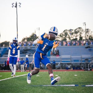 Jacobien Lewis mugshot