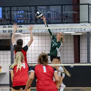 Lydia Hipple mugshot