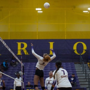 Zay Williams mugshot