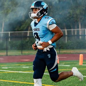 Julio Vargas Jr mugshot