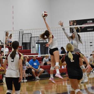 Kate Harrigan mugshot