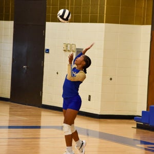 Shamya Wilkins