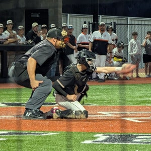 Collier Bergeaux mugshot