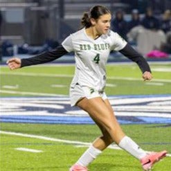 Emery Plemons mugshot