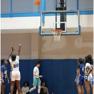 Brelyn Miller mugshot