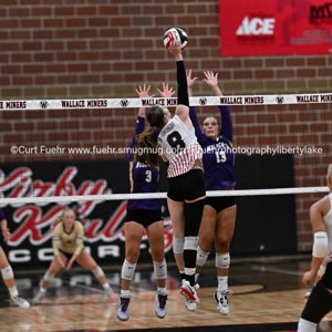 Kylee Phillips