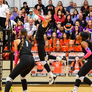 Lesley Sanchez mugshot