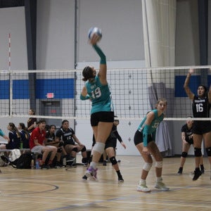 Sophia Avila mugshot