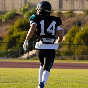 Stevie Clarke mugshot